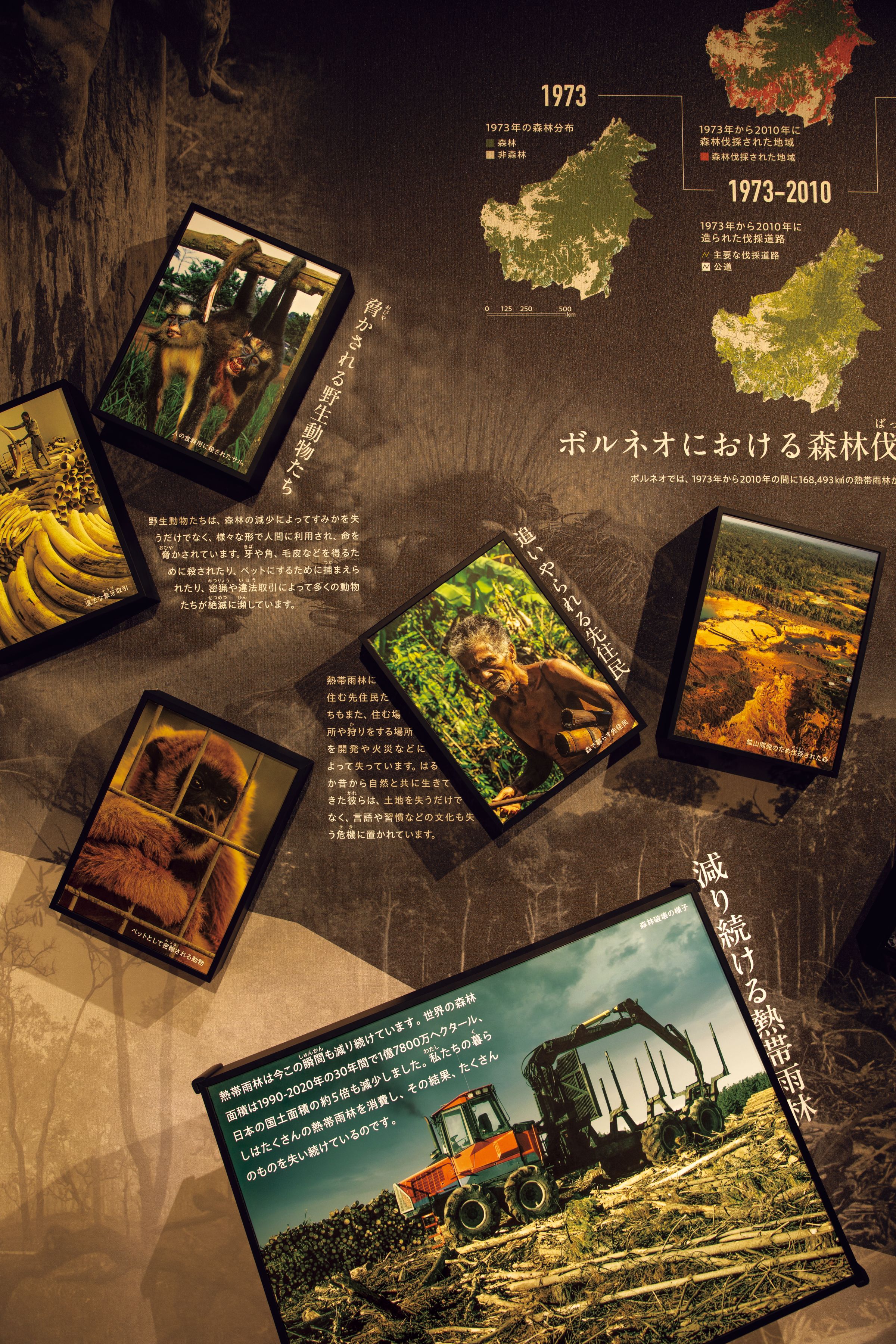 千葉市動物公園 動物科学館