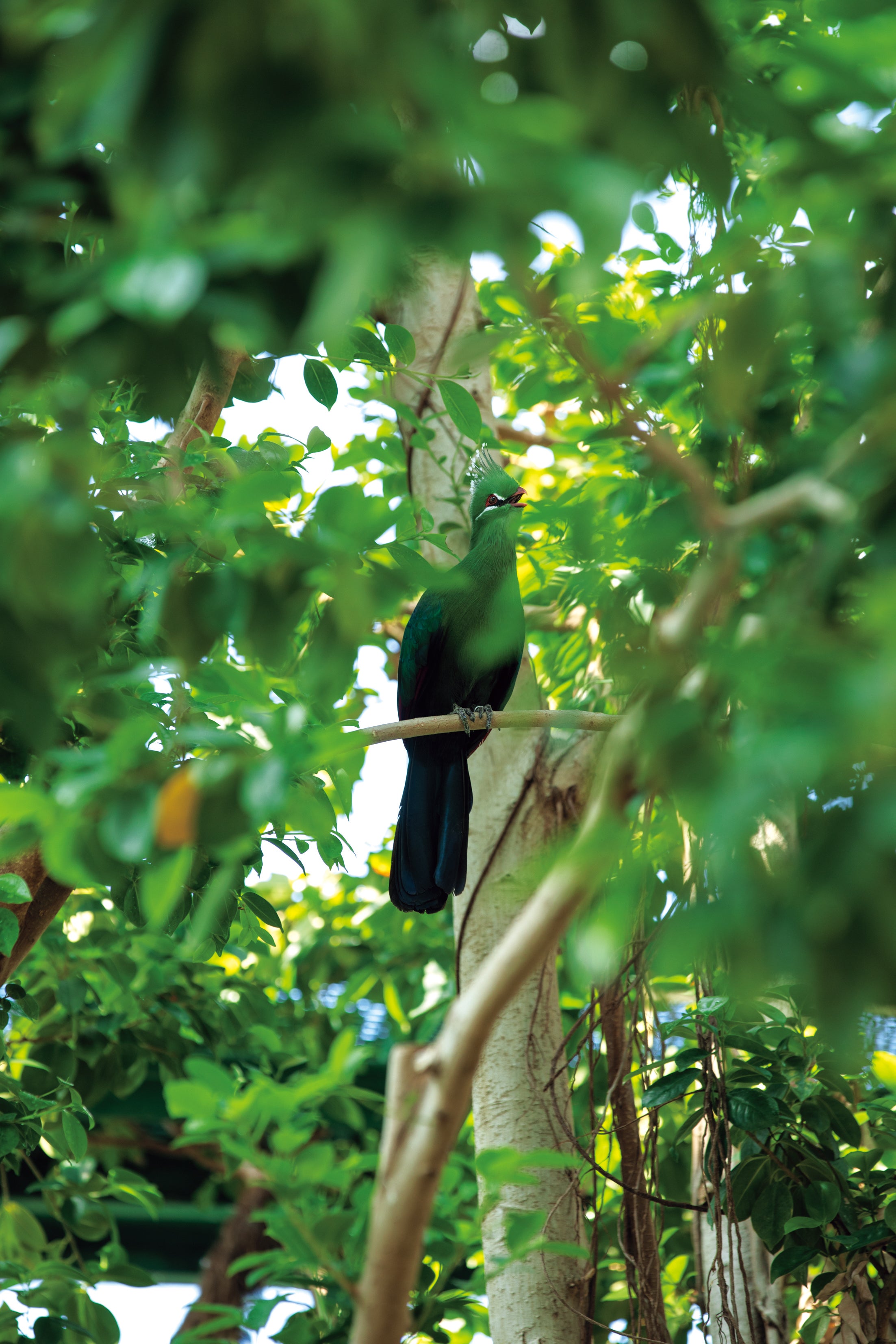 千葉市動物公園 動物科学館