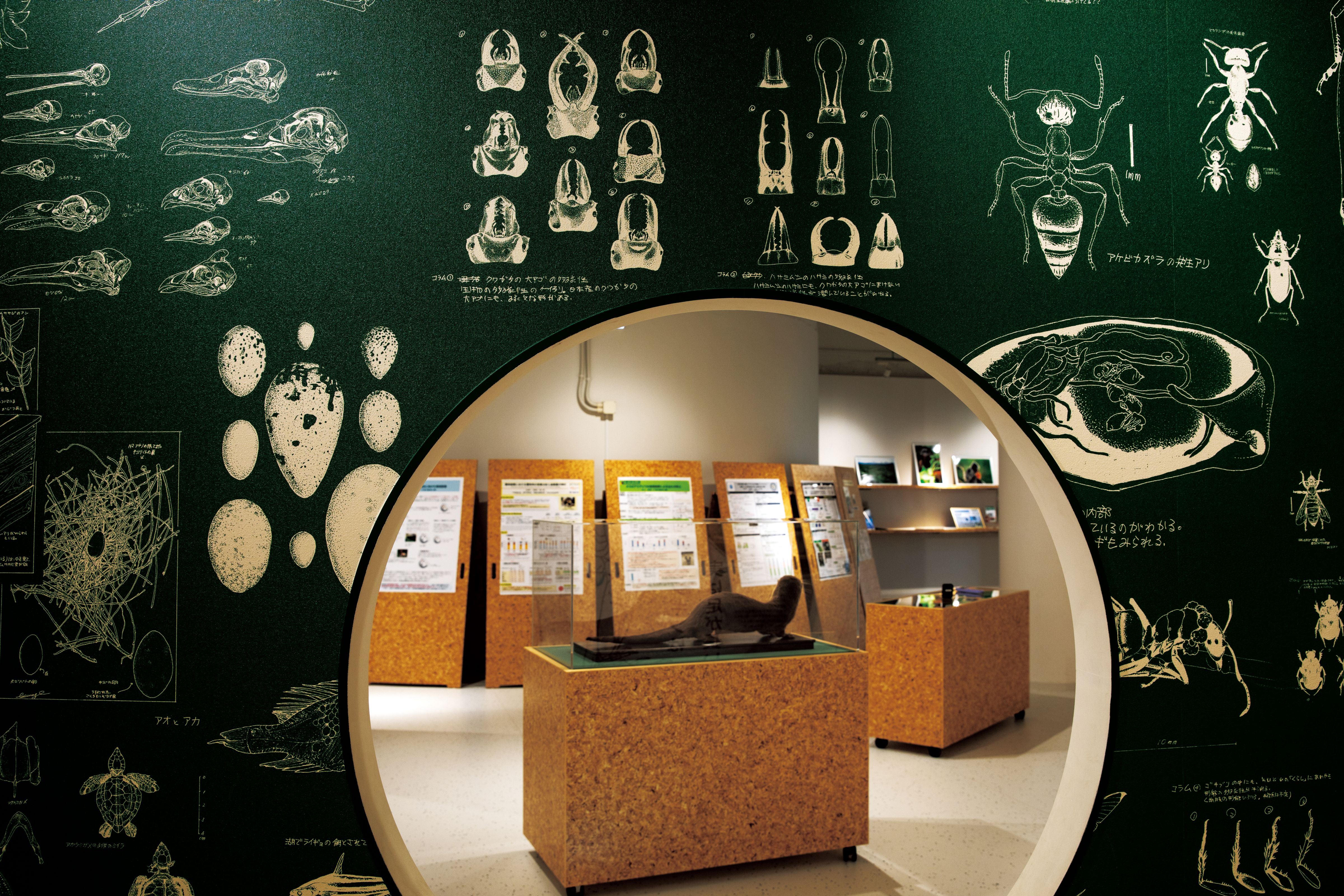 千葉市動物公園 動物科学館