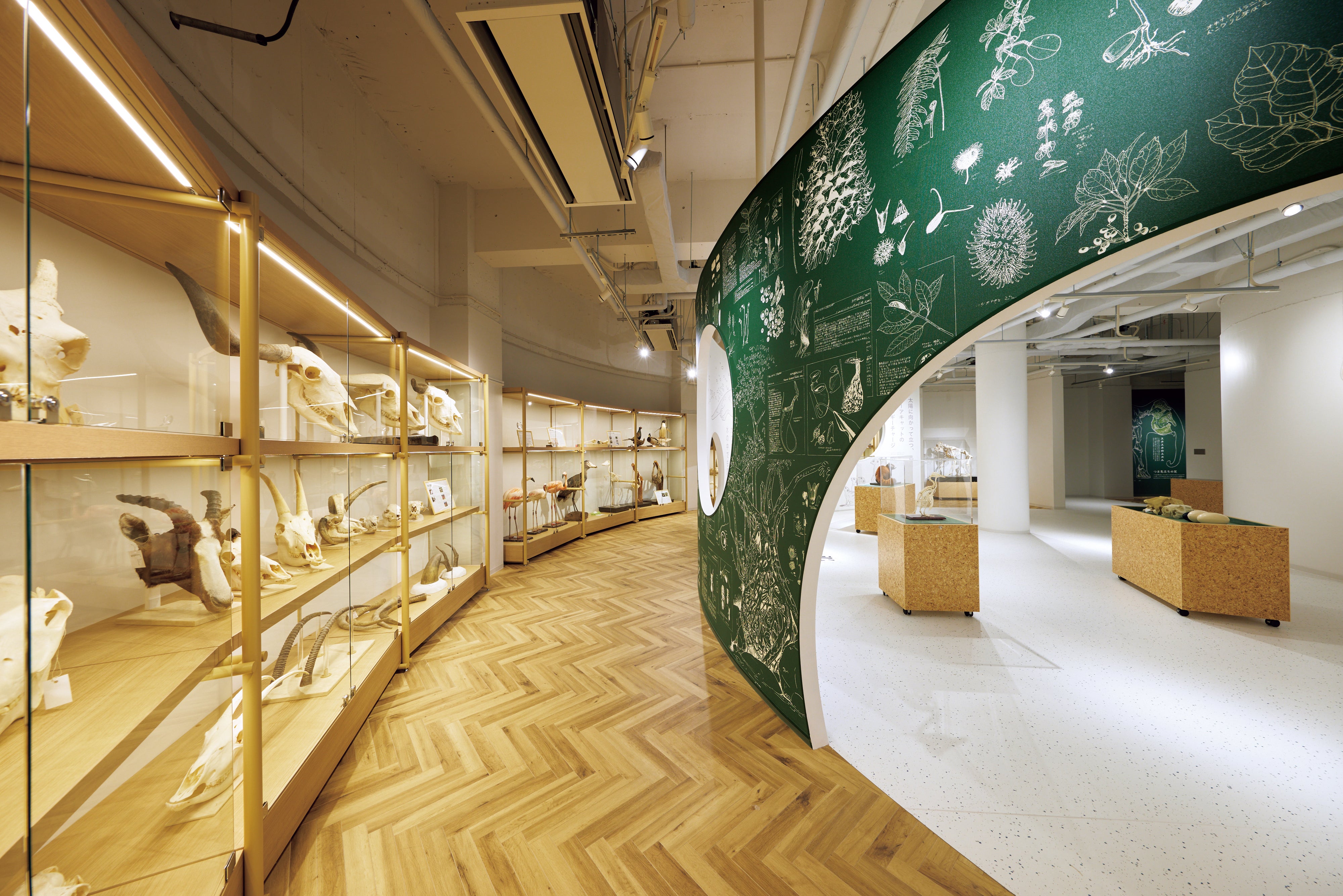 千葉市動物公園 動物科学館