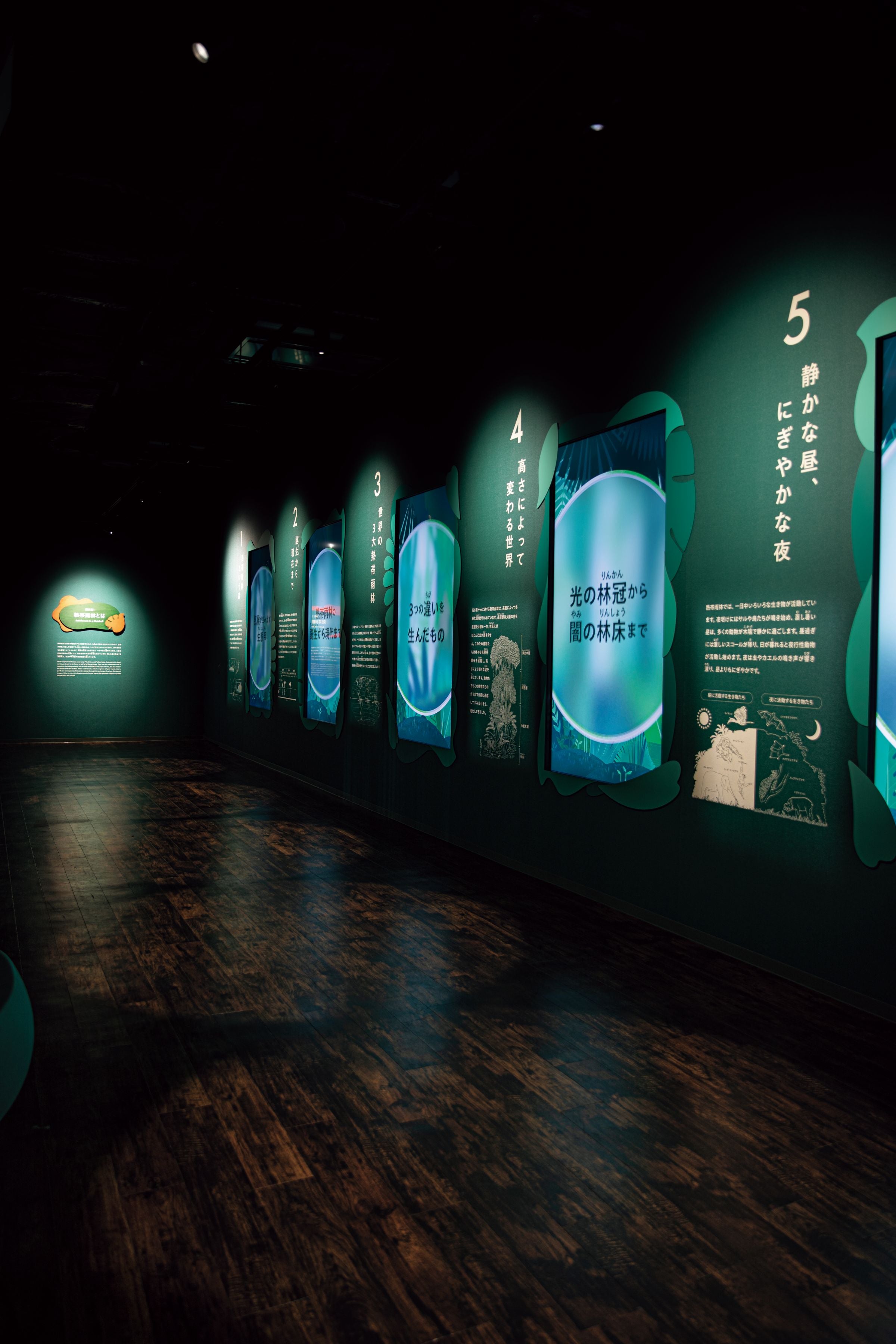 Chiba City Zoological Park Animal Science Museum