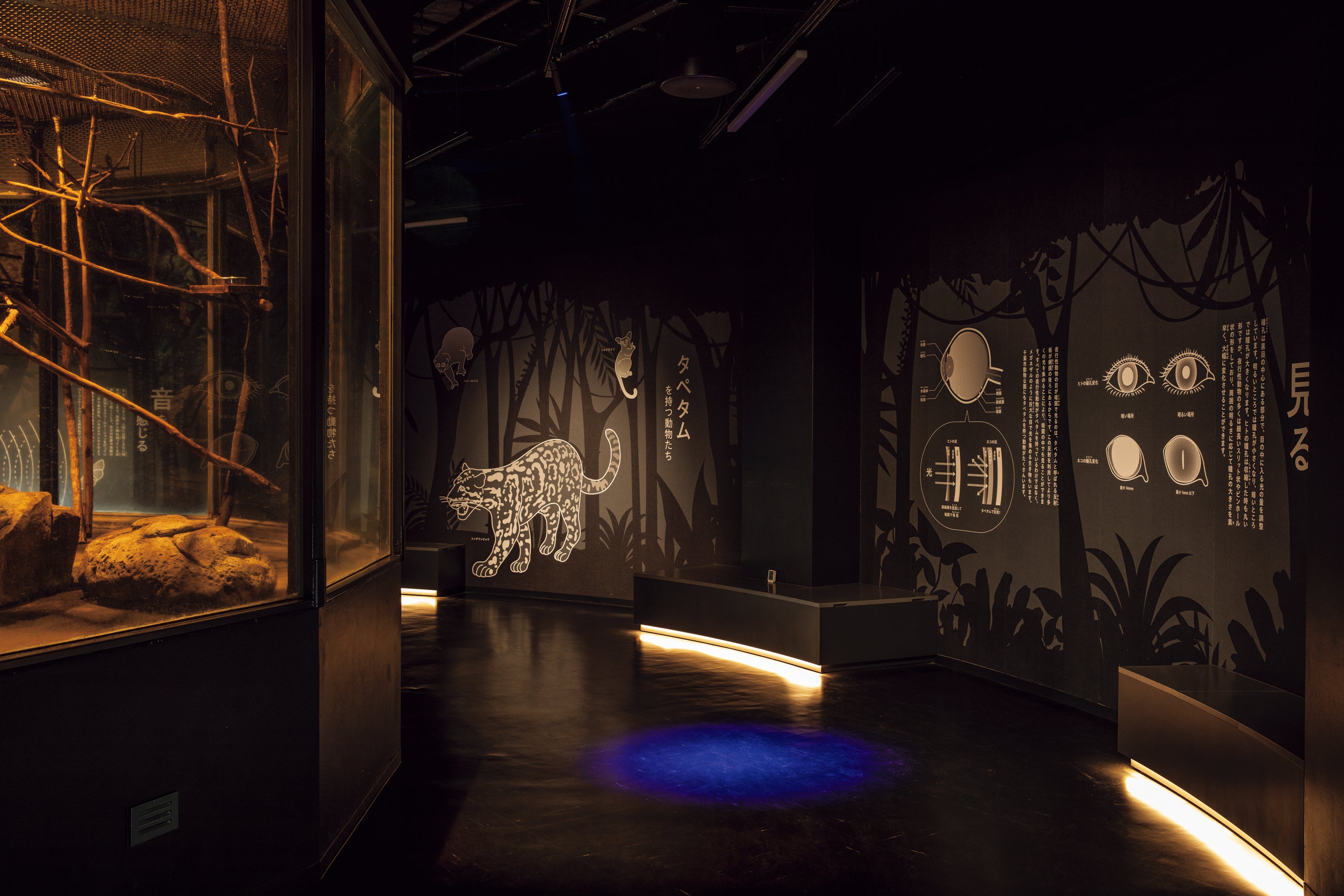 千葉市動物公園 動物科学館