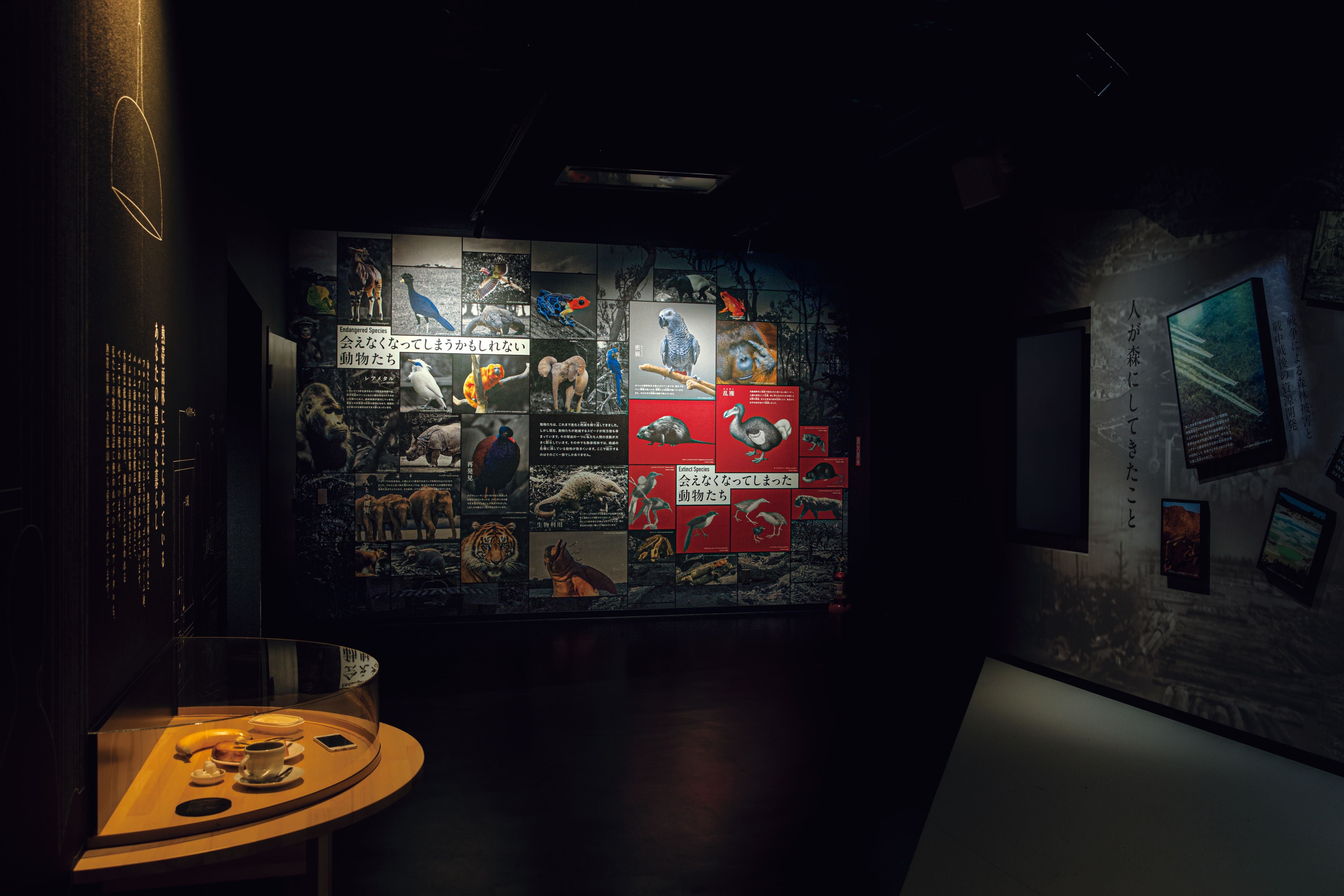 千葉市動物公園 動物科学館