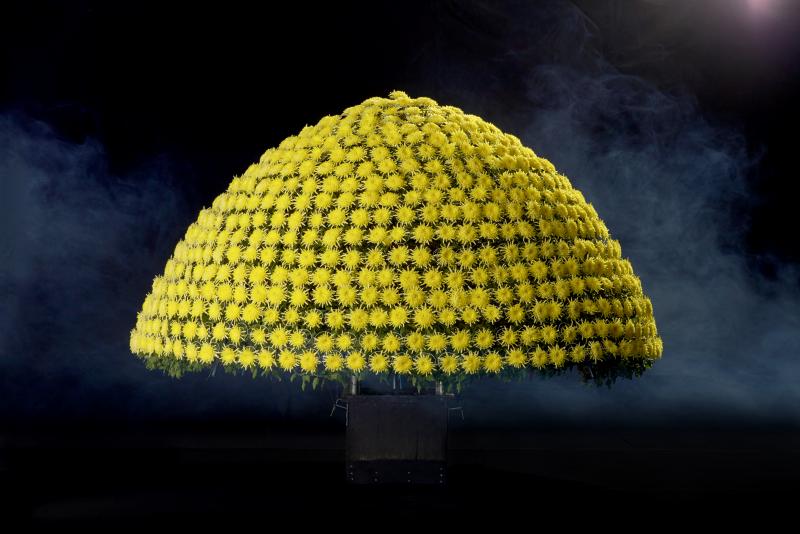 菊のまち二本松