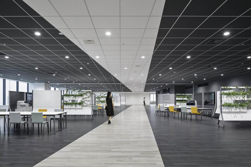 Bridge for Innovation