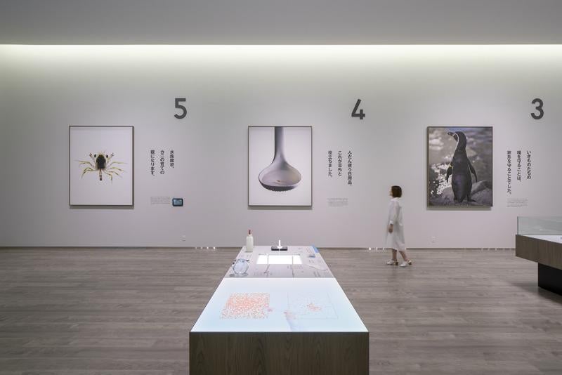 日和山海岸ミュージアム