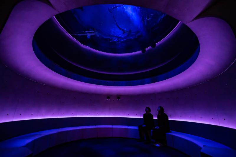 Shikoku Aquarium