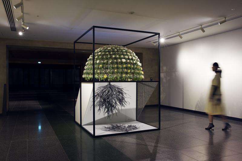 菊のまち二本松