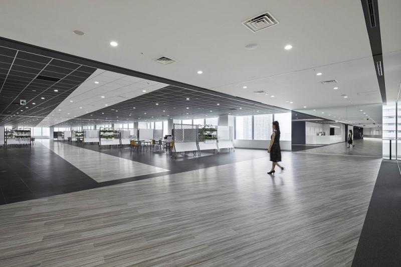 Bridge for Innovation