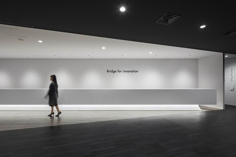 Bridge for Innovation