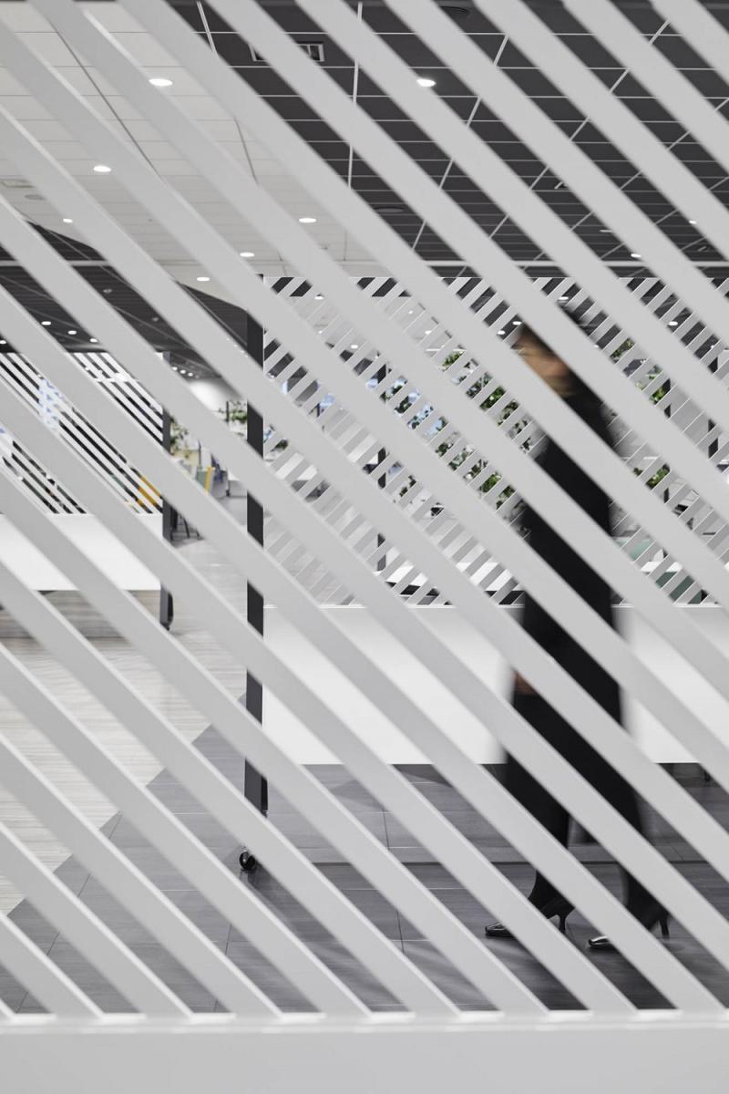 Bridge for Innovation