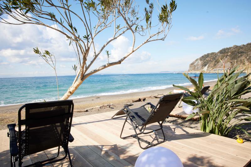 观光基地再生项目“海和桑拿”“公交车!!”