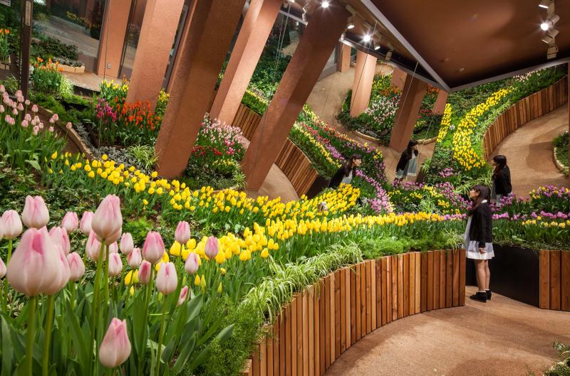 TONAMI TULIP GALLERY チューリップ四季彩館