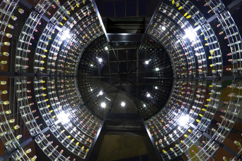 TONAMI TULIP GALLERY チューリップ四季彩館