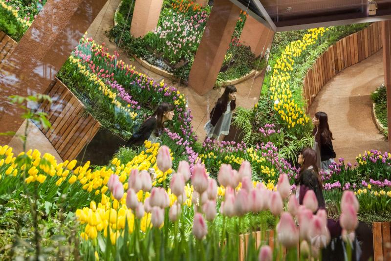 TONAMI TULIP GALLERY チューリップ四季彩館