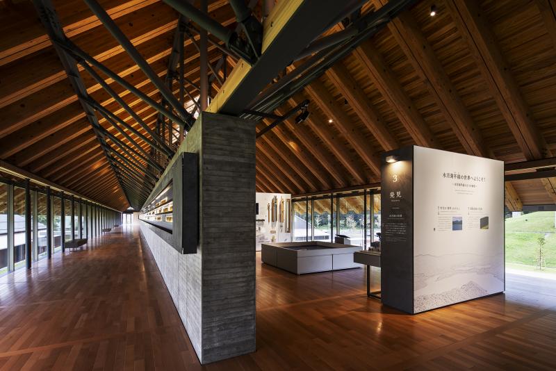Veins Museum