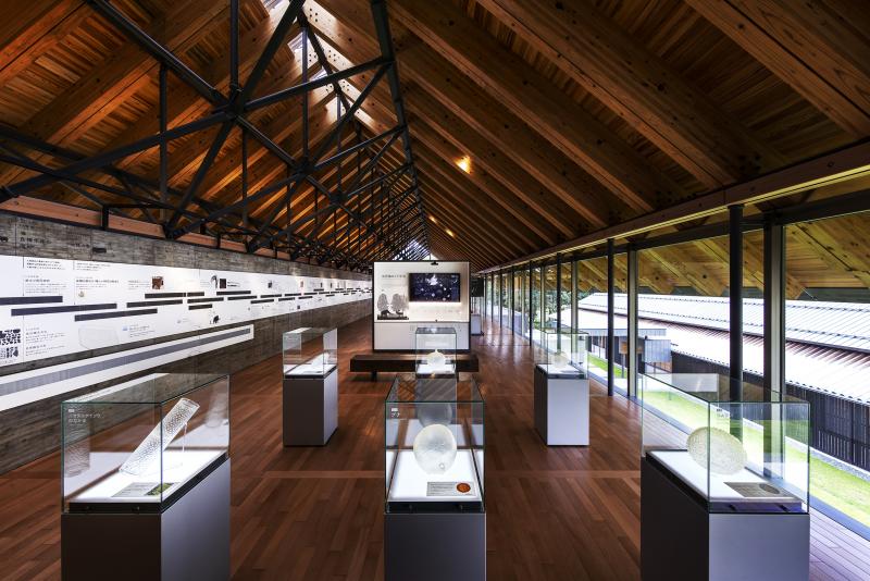 Veins Museum