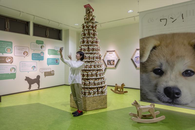 大館市観光交流施設「秋田犬の里」