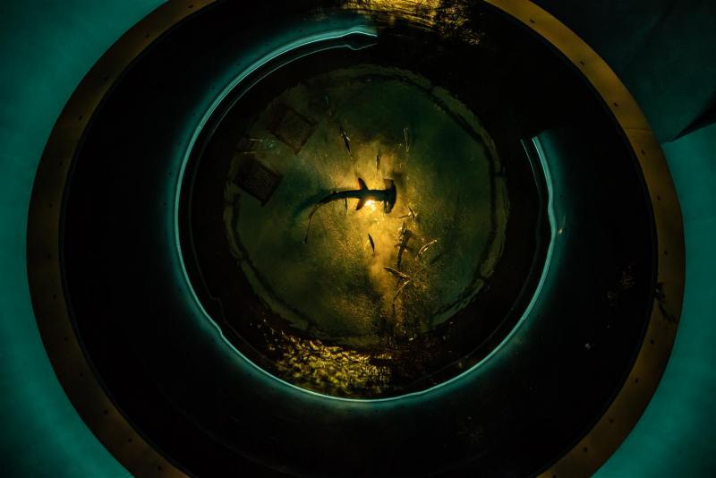 Shikoku Aquarium