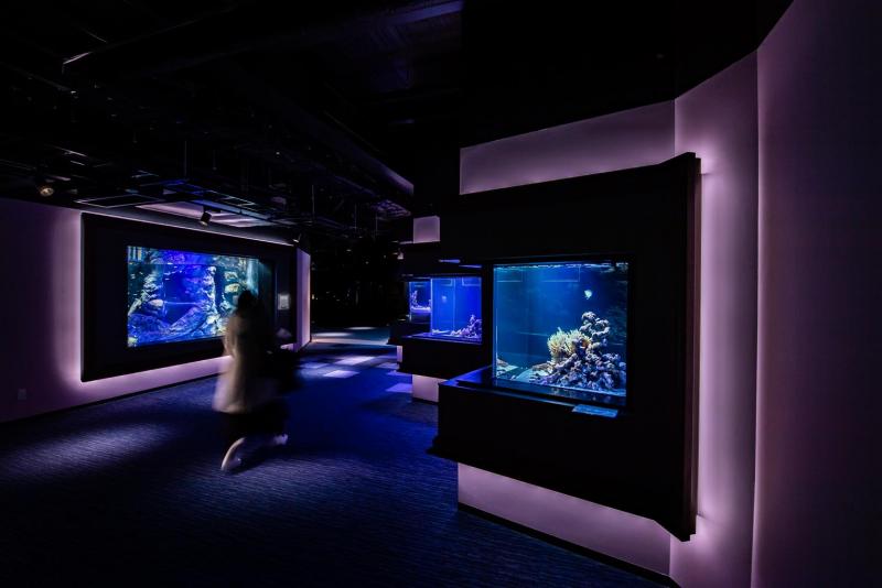 Shikoku Aquarium