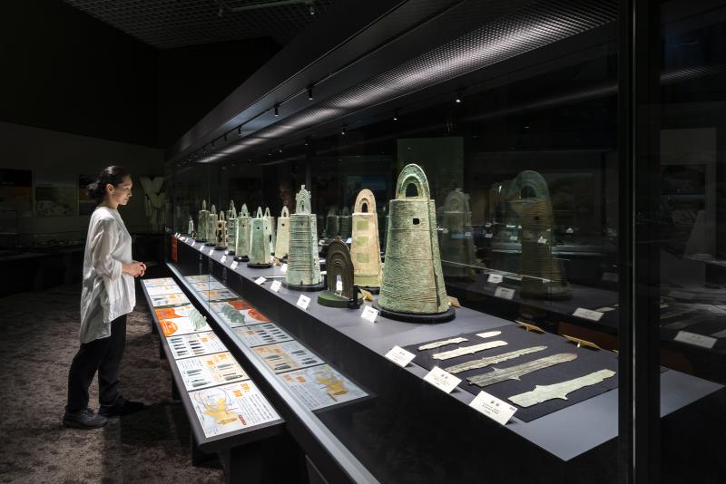 徳島県立博物館