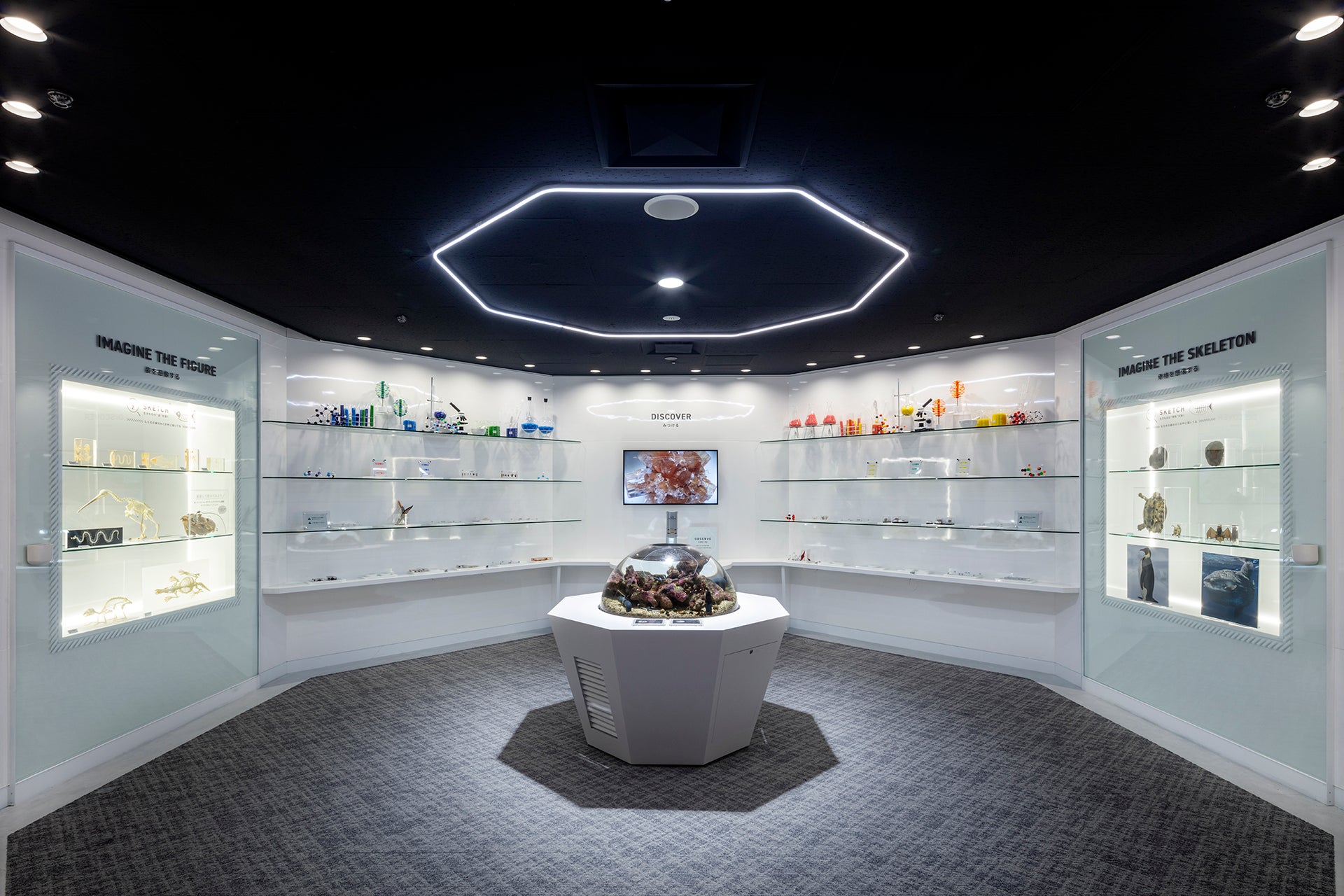 Smart Aquarium Shizuoka