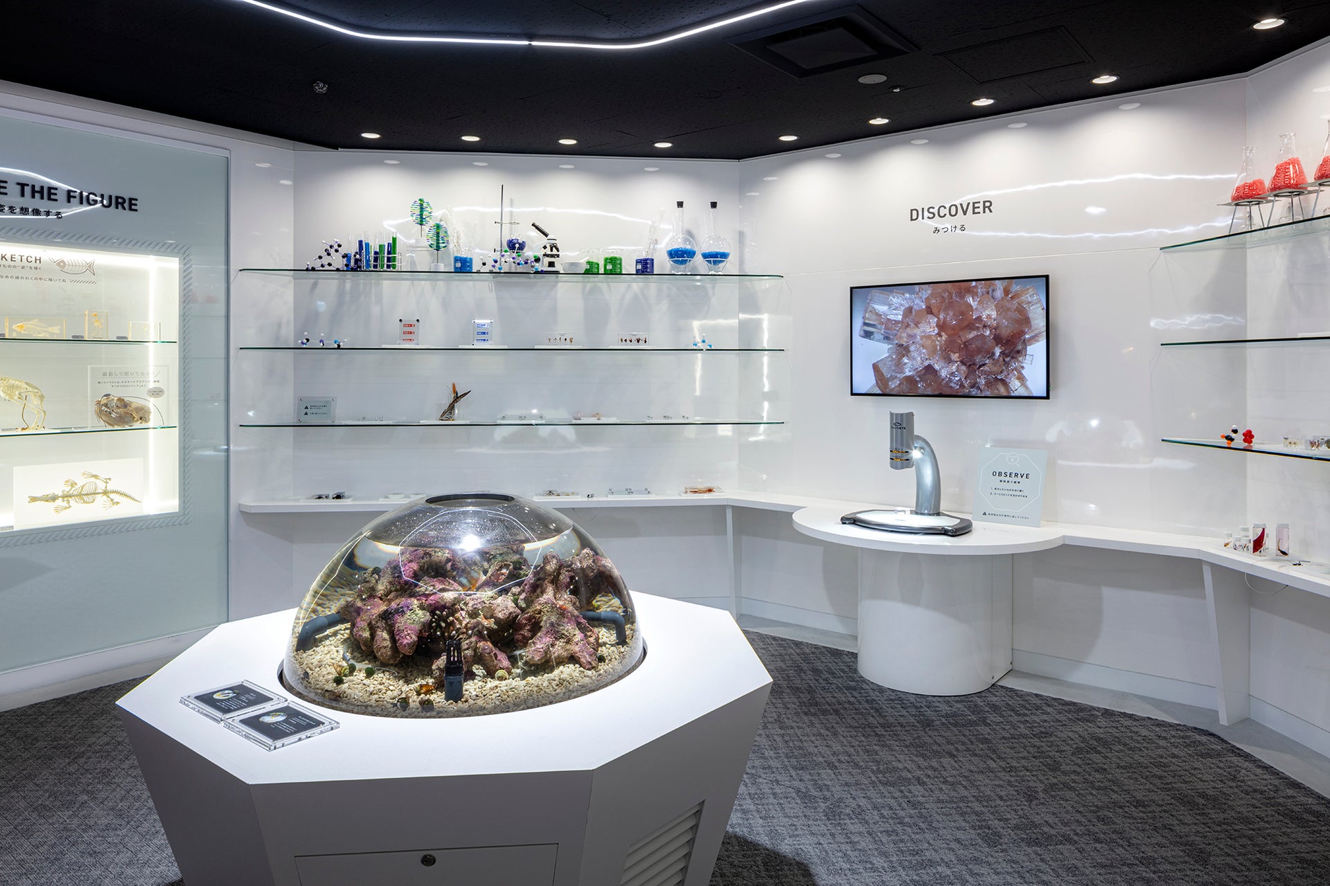 Smart Aquarium Shizuoka