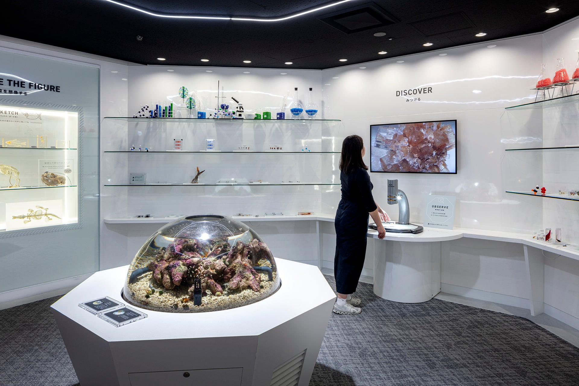 Smart Aquarium Shizuoka