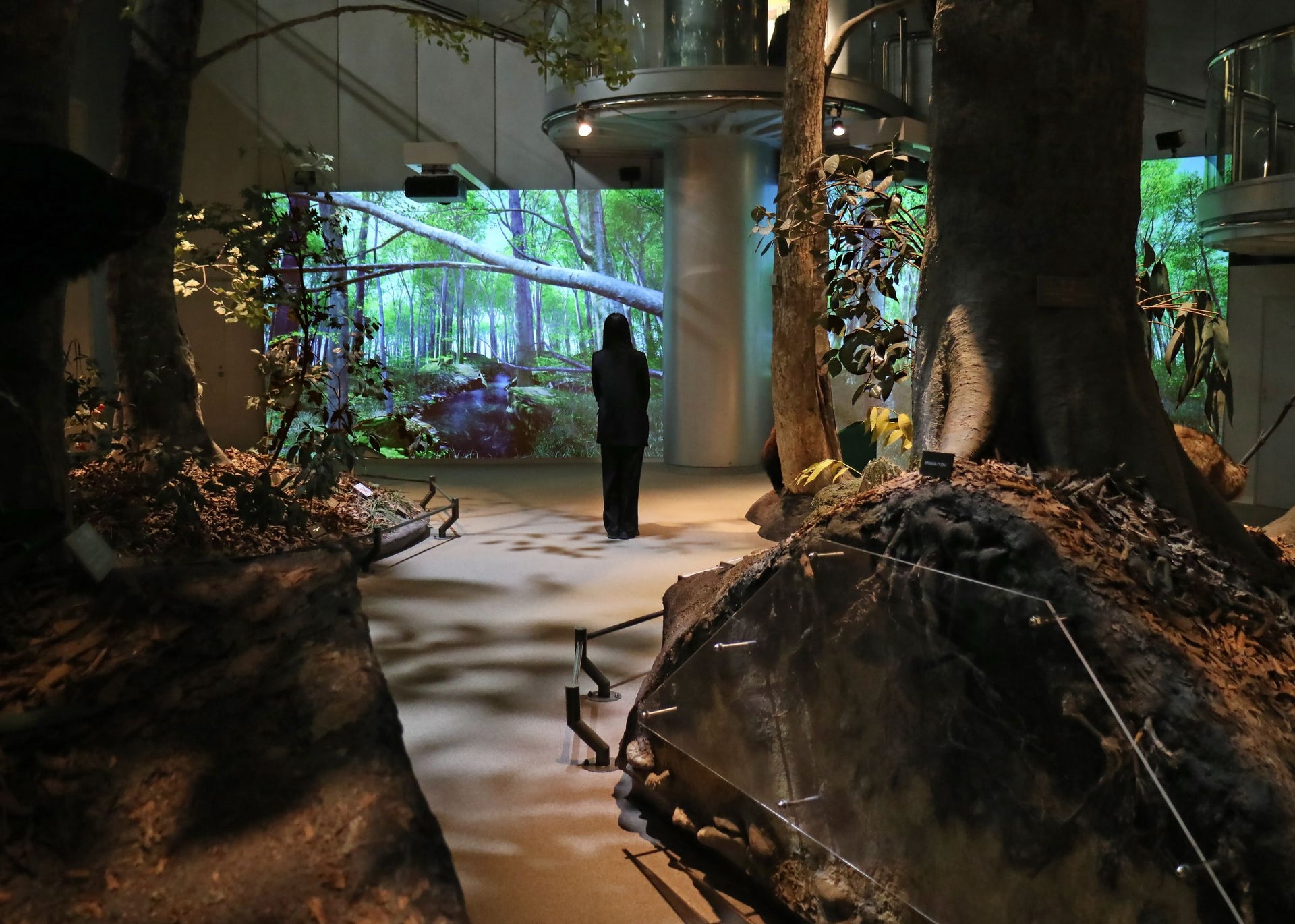 新潟县立自然科学馆