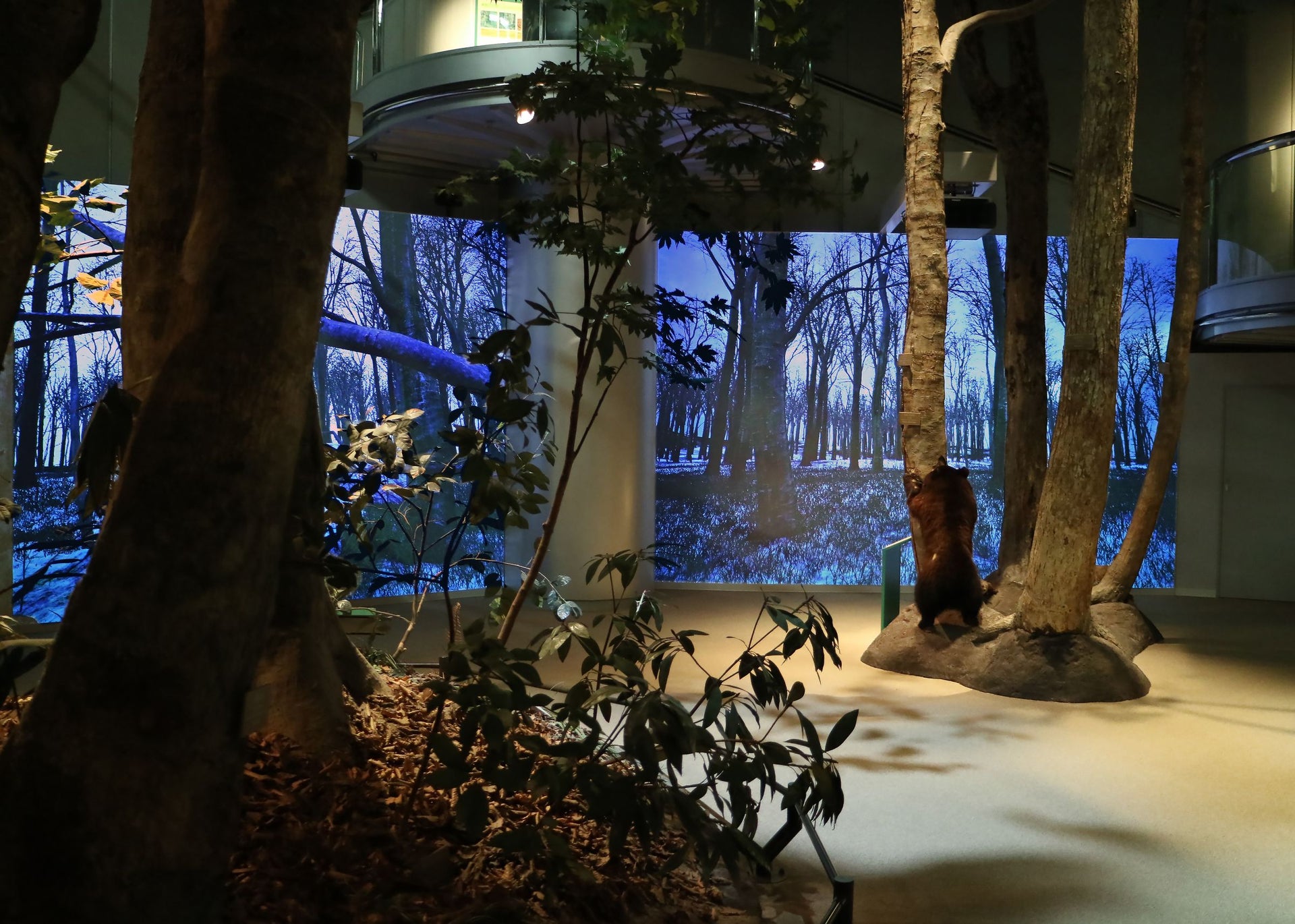 新潟县立自然科学馆