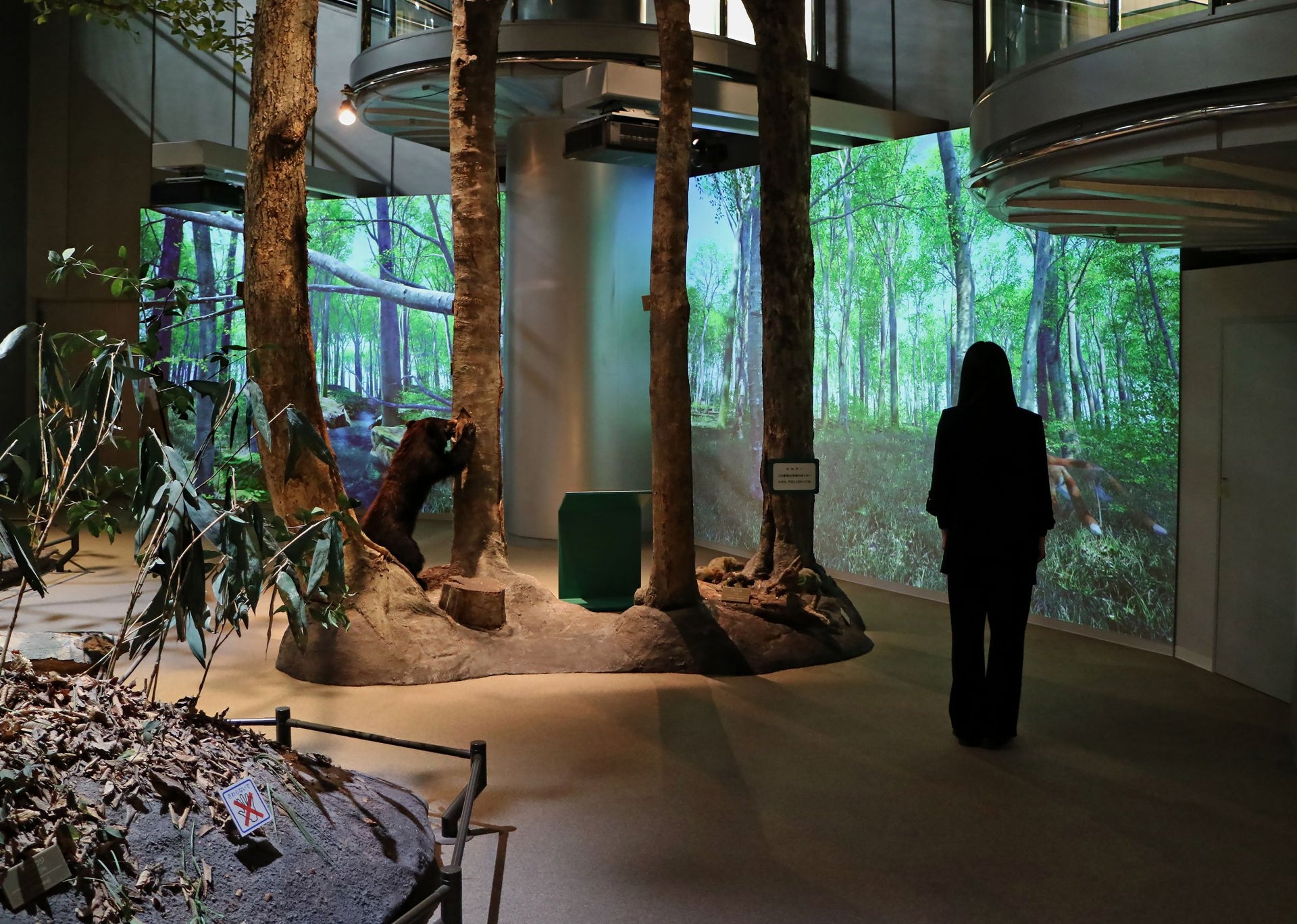 新潟县立自然科学馆