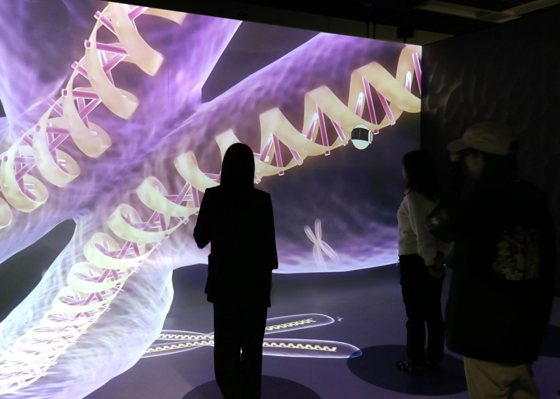 新潟県立自然科学館