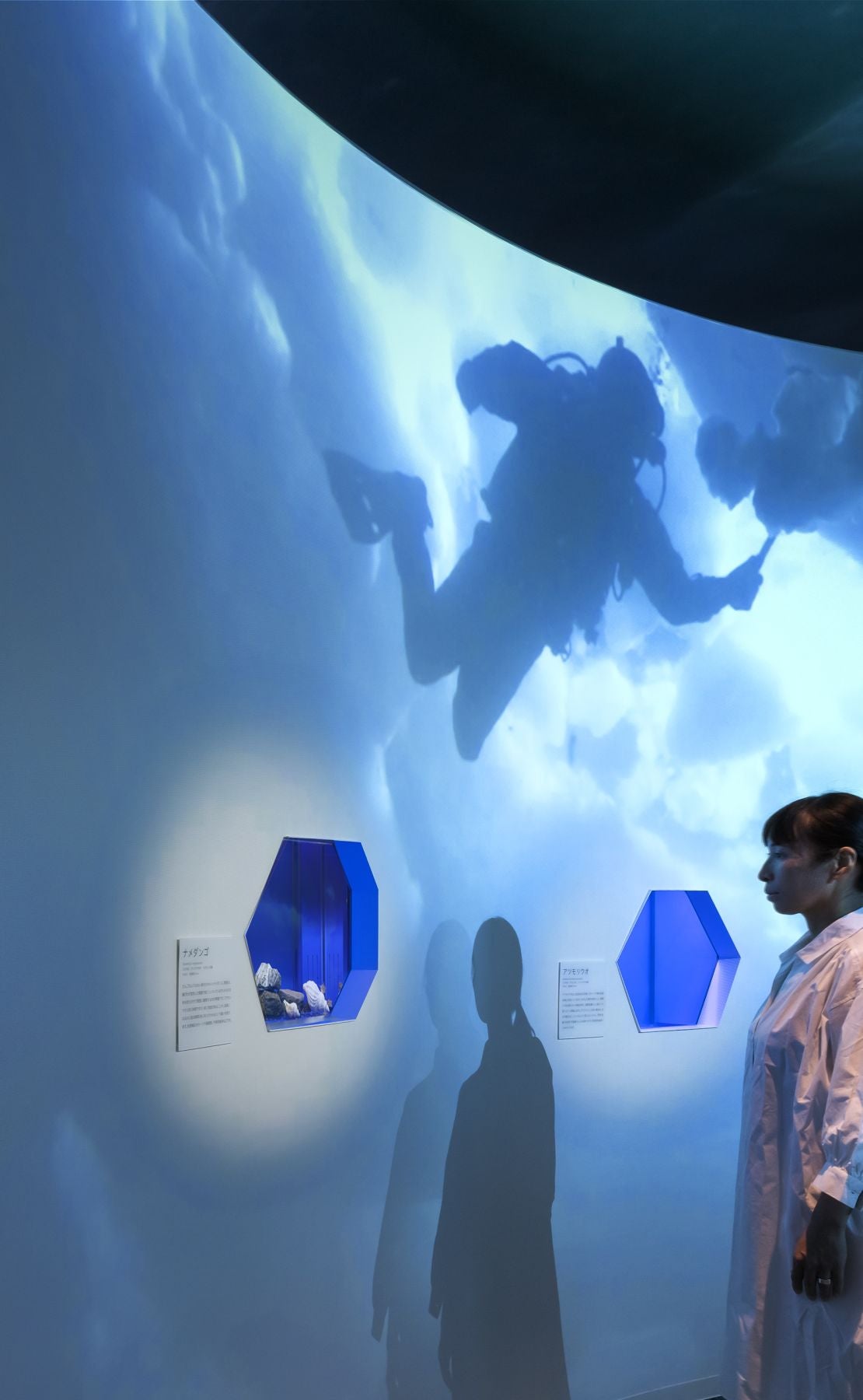 鄂霍茨克流冰博物馆展示更新