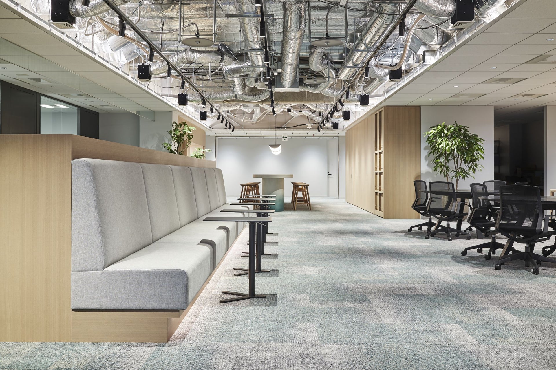 ウェルス・マネジメント株式会社 本社移転プロジェクト | 実績紹介 | 株式会社乃村工藝社