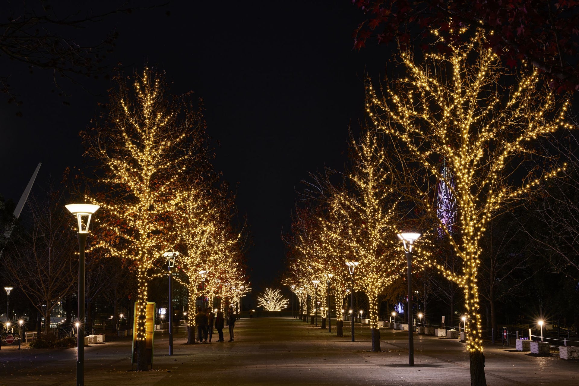 イルミネーションアイランドお台場2020