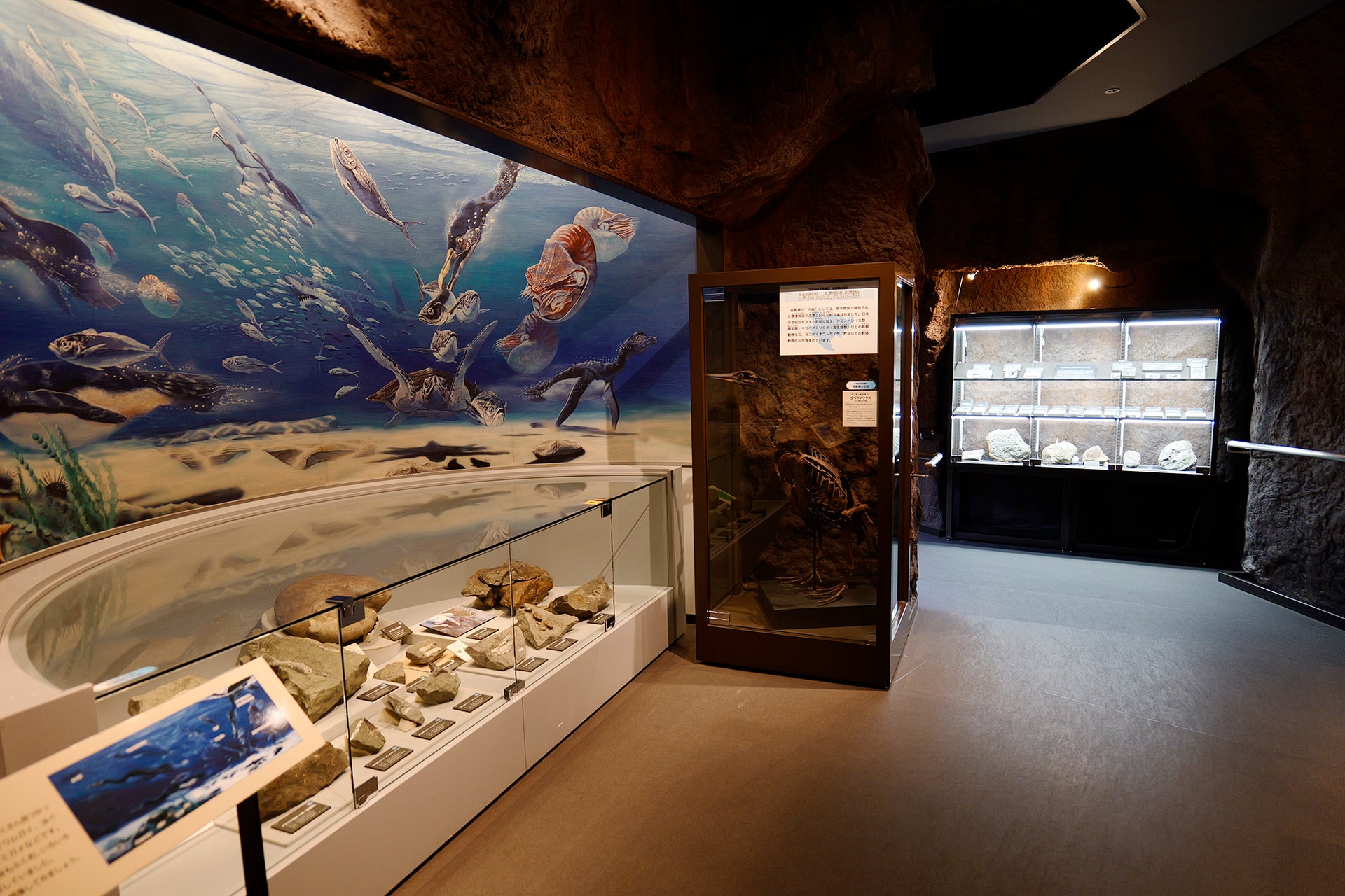 Saga Prefectural Space Science Museum《Yumeginga》