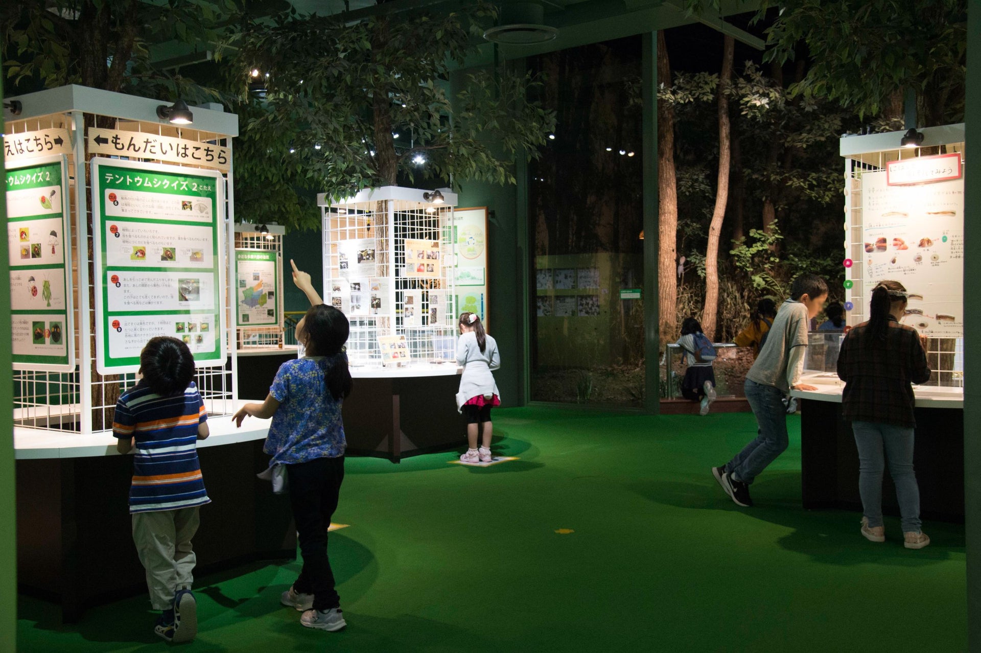 Tamarokuto Science Museum