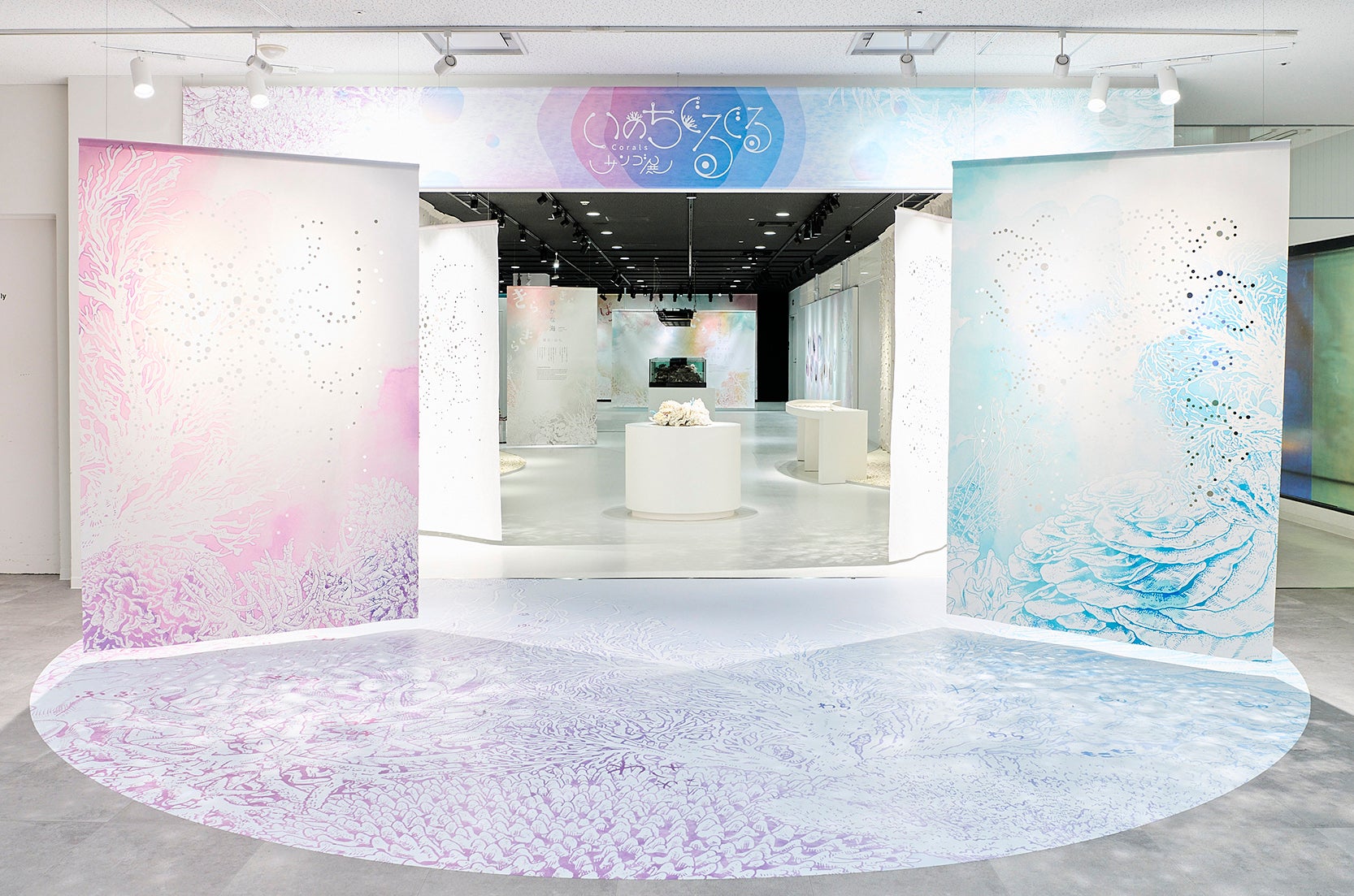 海遊館 特別展「いのちぐるぐるサンゴ展」