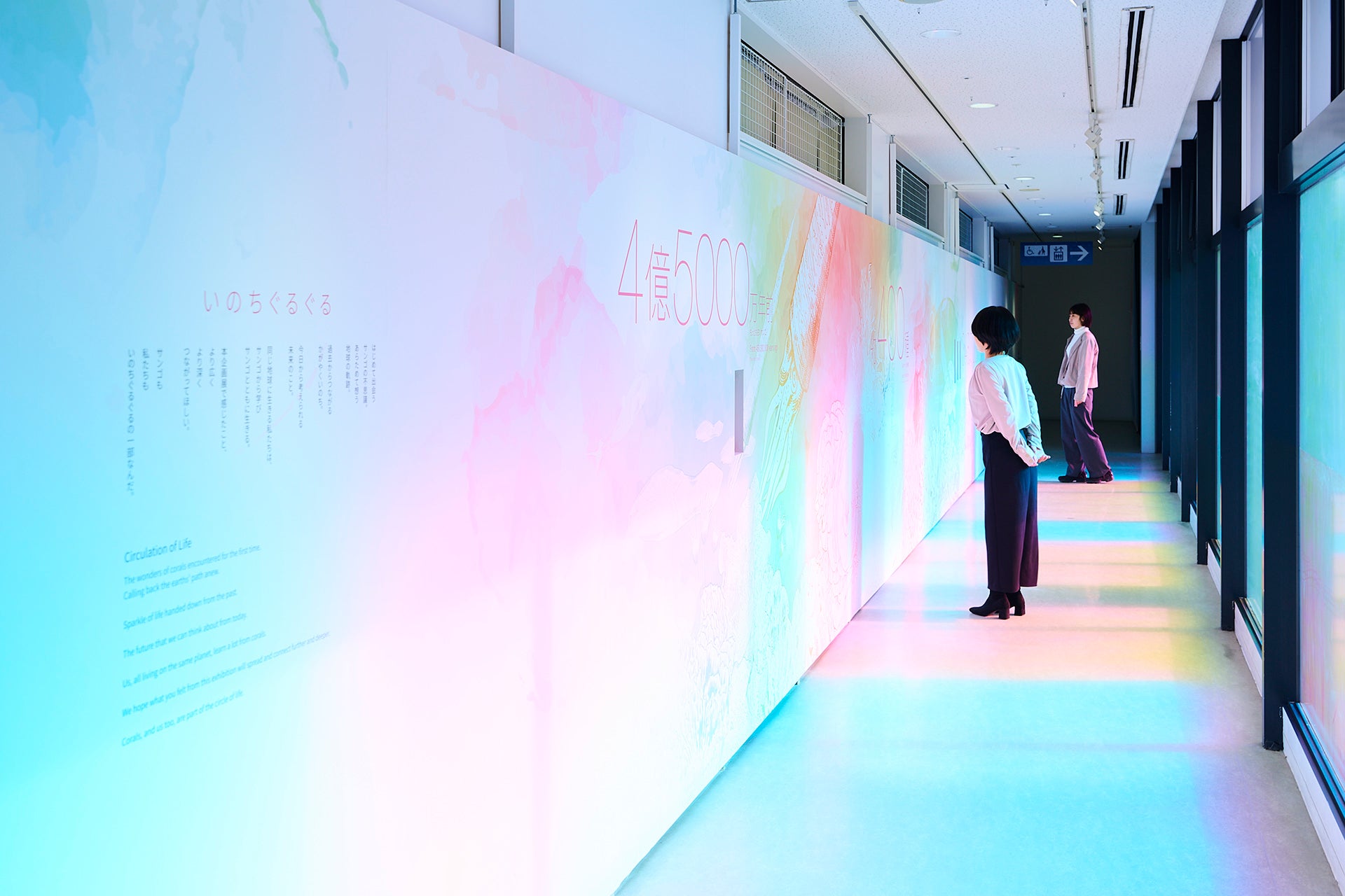 海遊館 特別展「いのちぐるぐるサンゴ展」