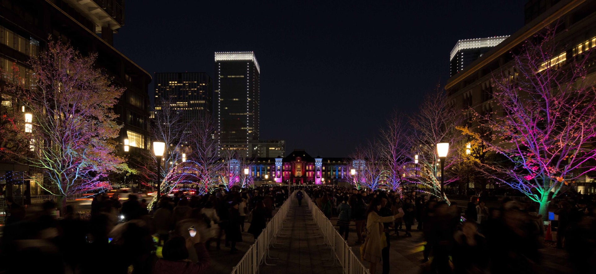 光の祝典「東京ミチテラス2015」
