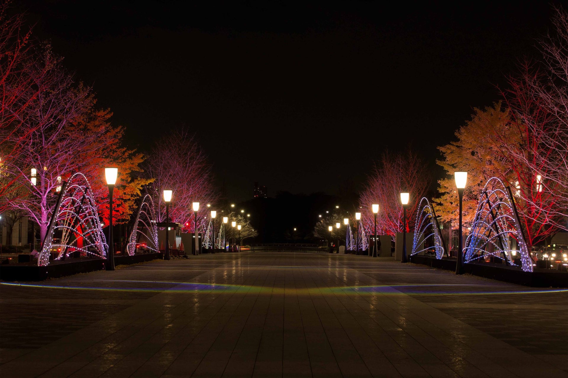 光の祝典「東京ミチテラス2015」