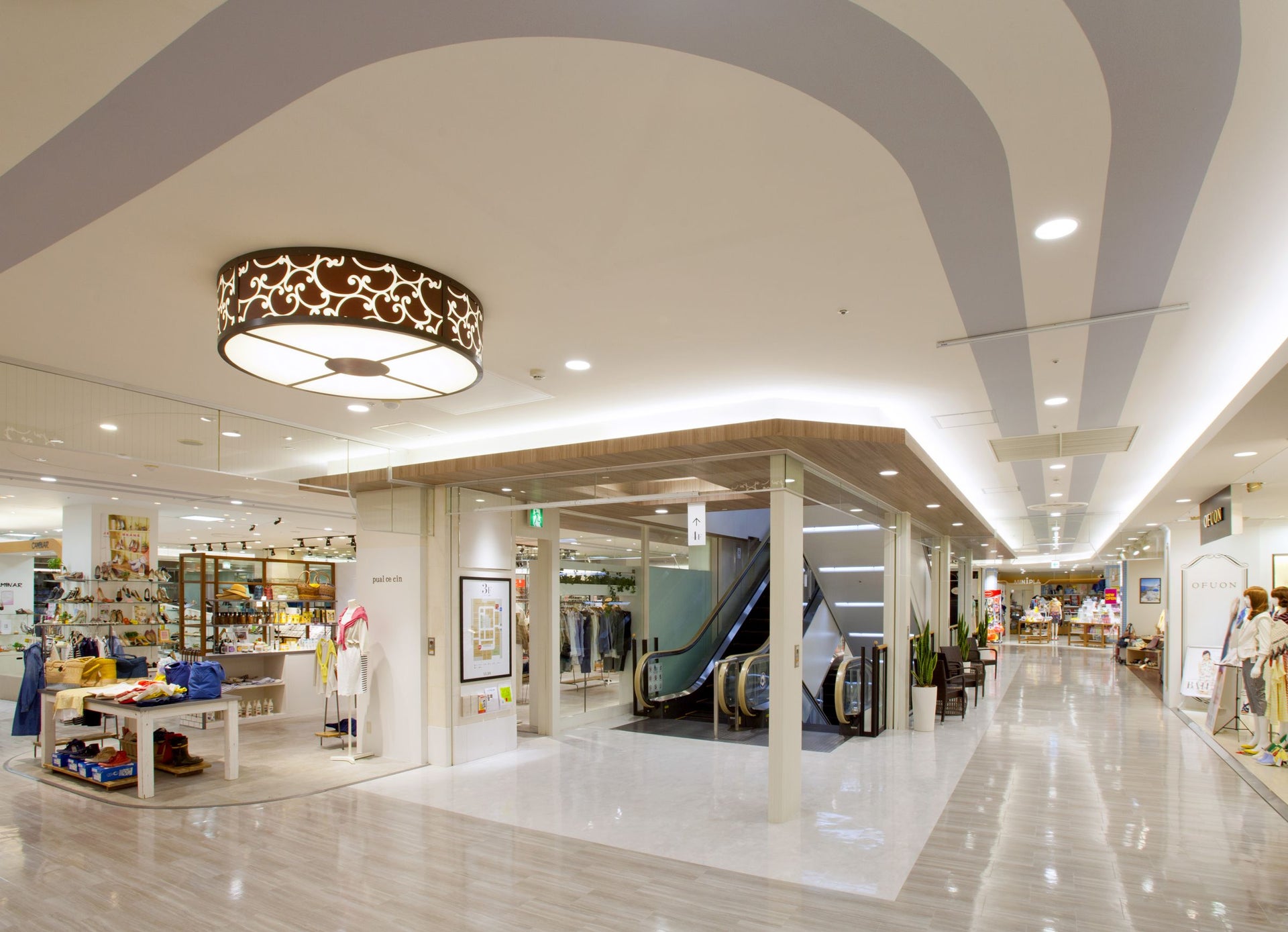 SELVA（セルバ）