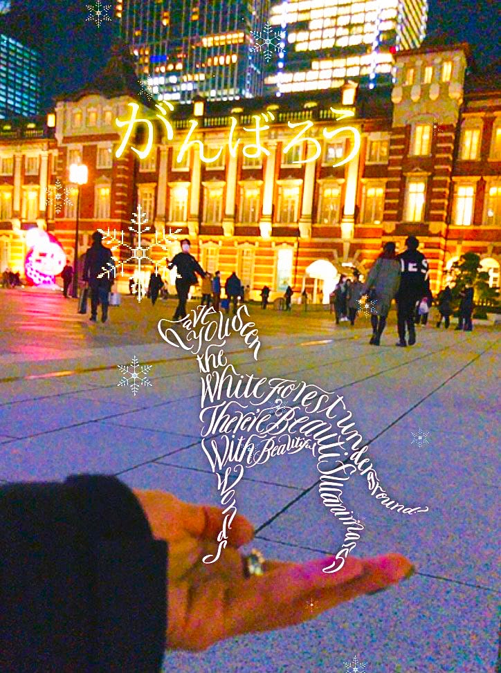 ファーストビューの画像