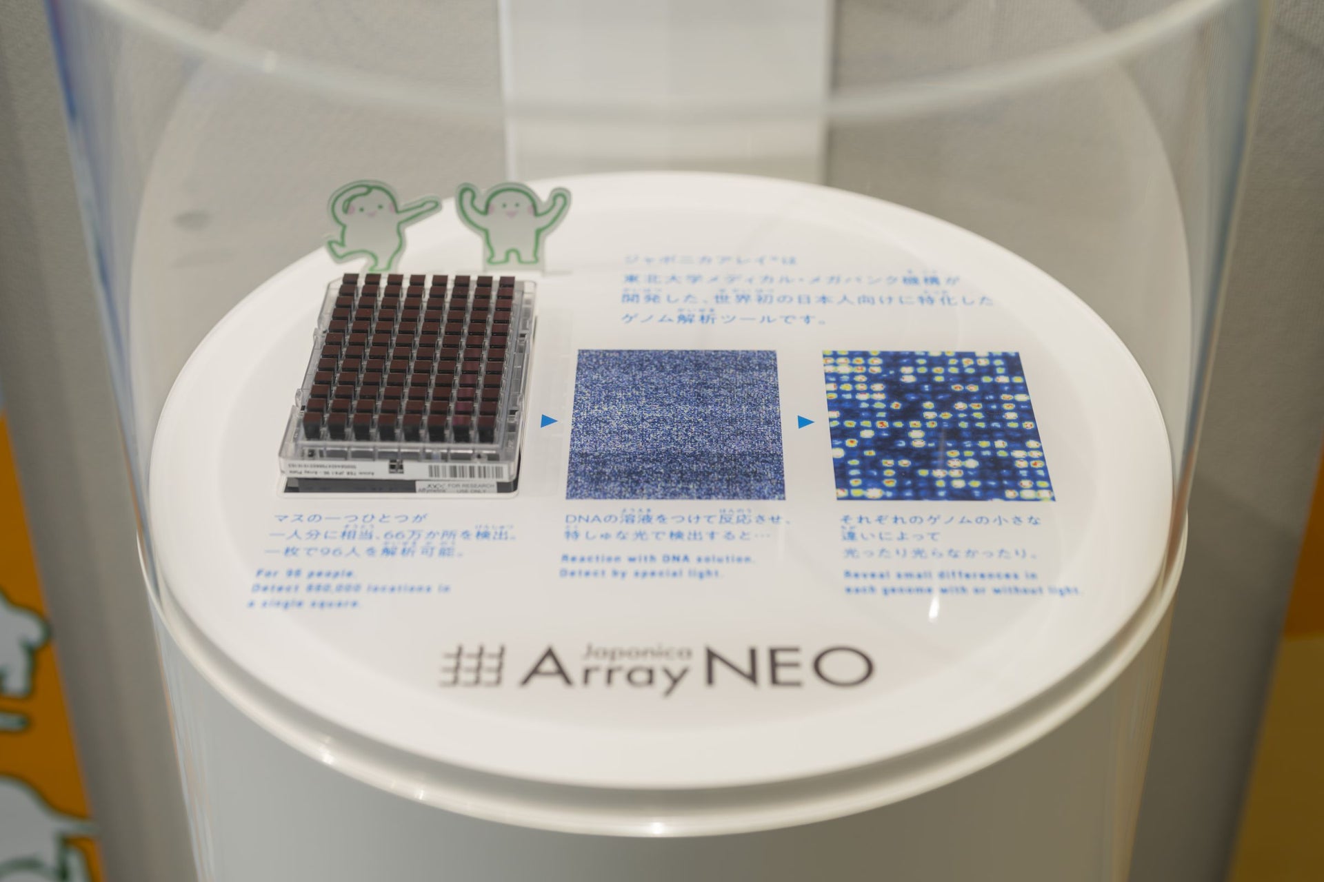 仙台市科学館 常設展示「ATGCナノの旅」5