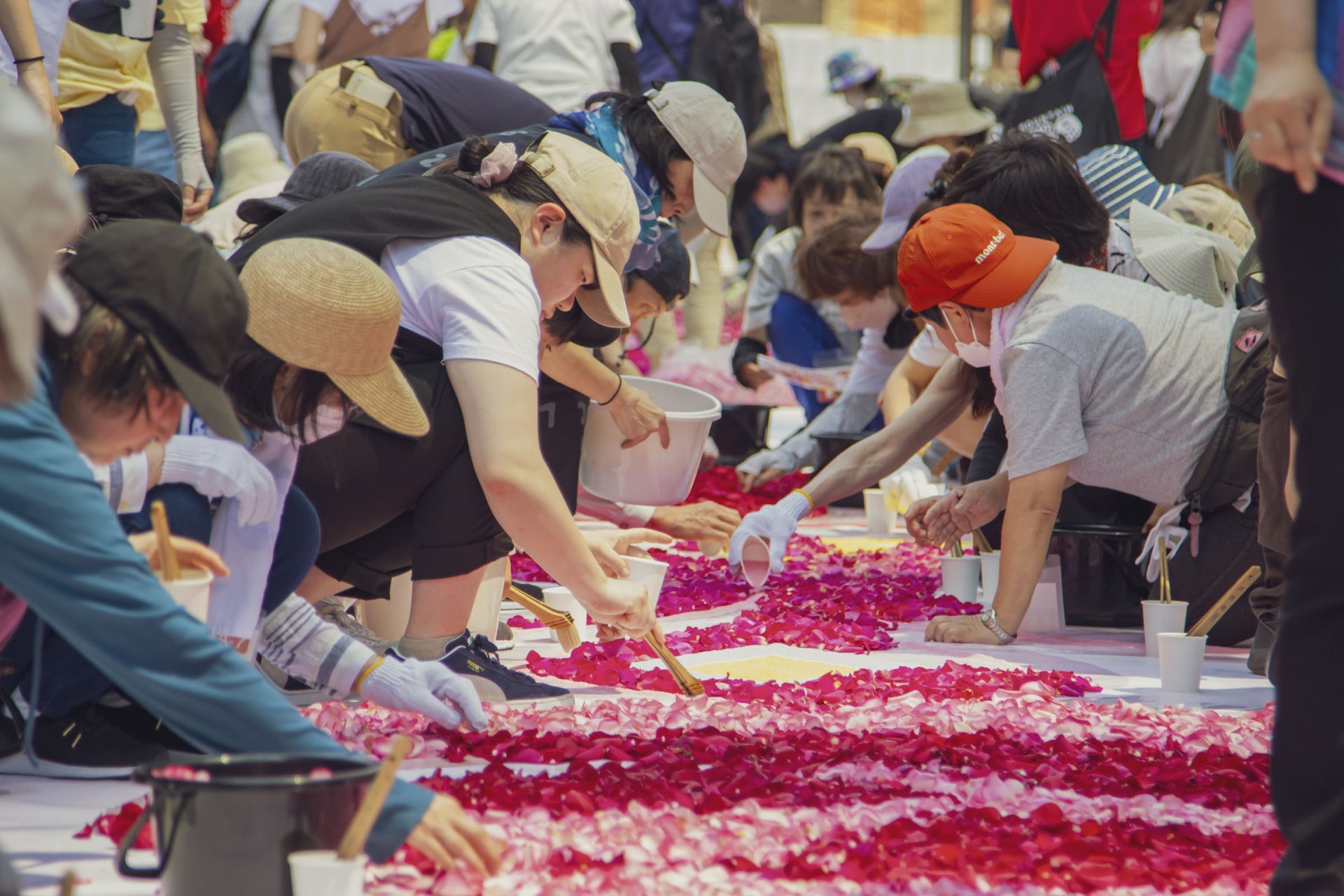 サッポロフラワーカーペット2024 4