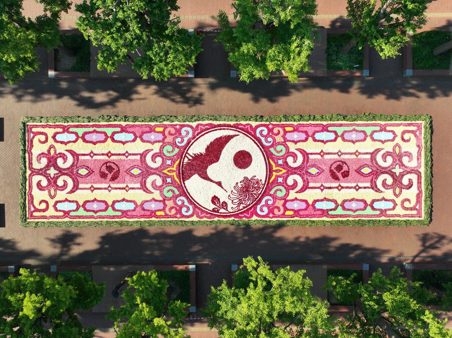 サッポロフラワーカーペット2024 1