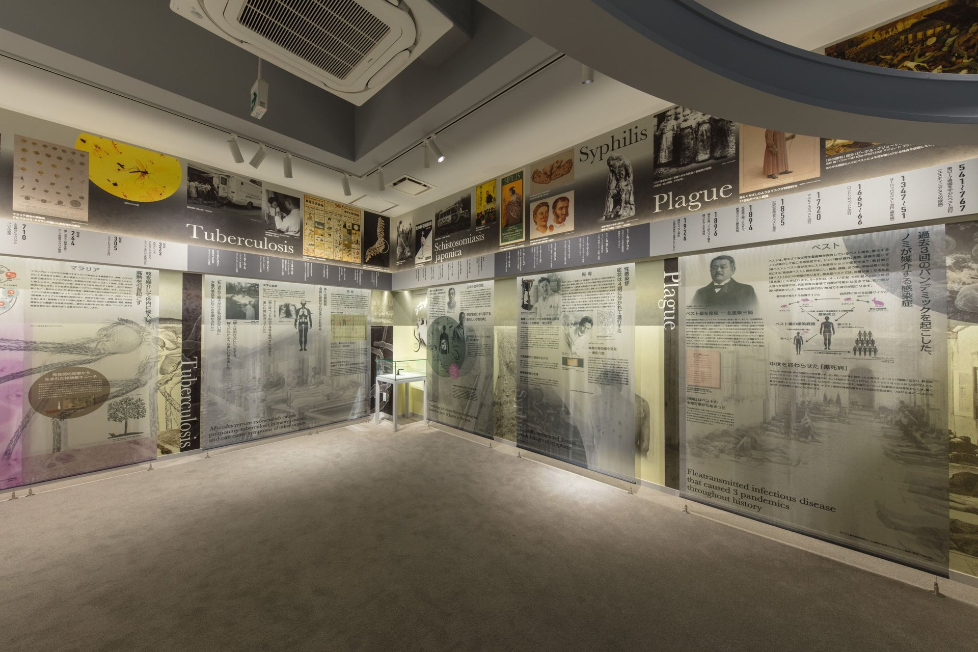 Hideyo Noguchi Memorial Infectious Disease Museum