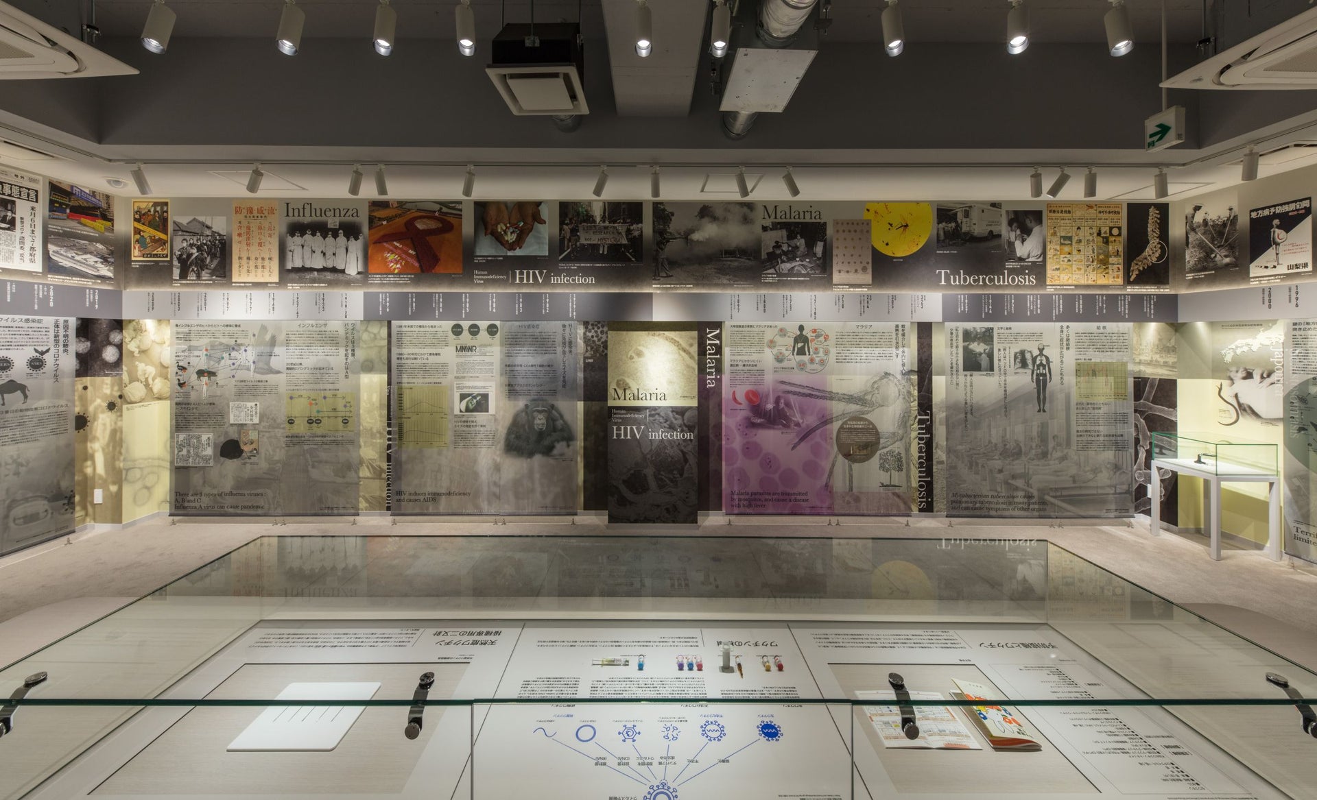 Hideyo Noguchi Memorial Infectious Disease Museum