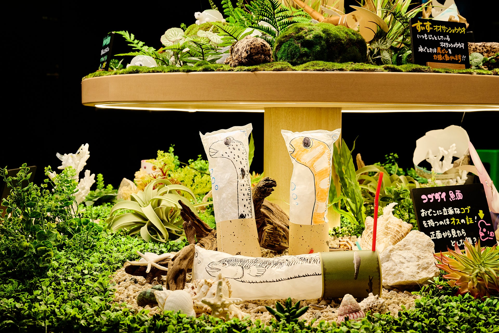 京都水族館「ミテッテ」5