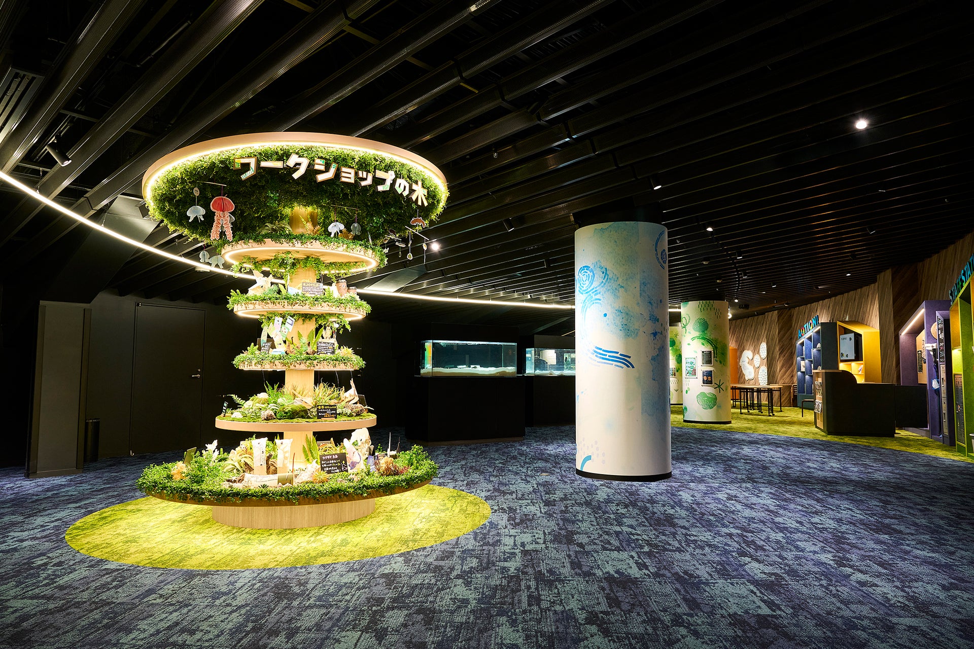 京都水族館「ミテッテ」1